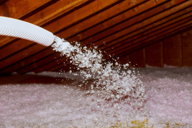 Best Specialized Insulation Services in Sea Isle City, NJ